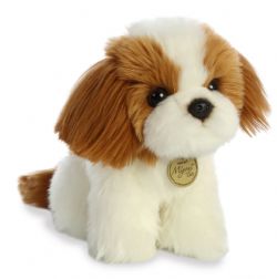 CHIEN SHIH TZU 11